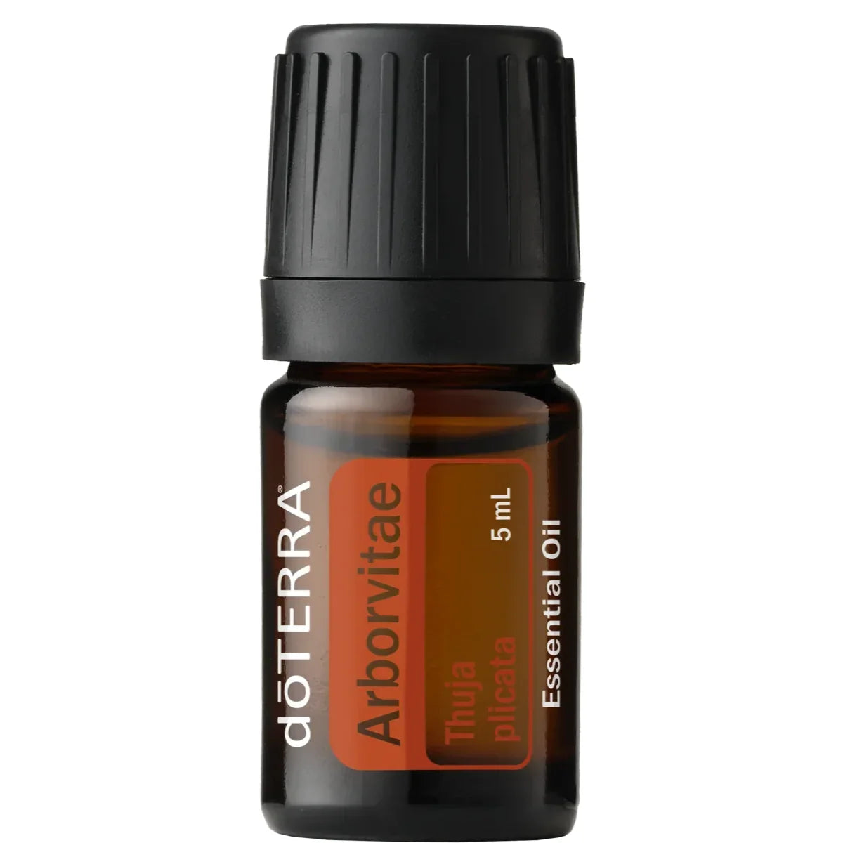 dōTERRA lebensbaum arborvitae 5 ml